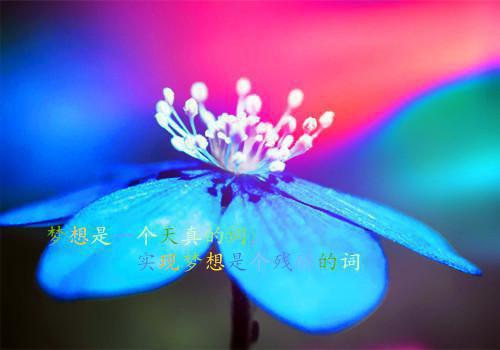同学18岁的生日祝福短信范例参考