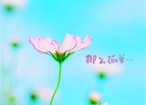 关于小雪节气的农谚