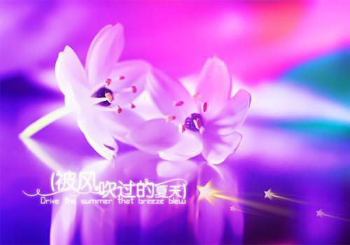 简洁的网络流行语录集合30条