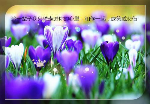 党员干部座右铭党员一句话座右铭