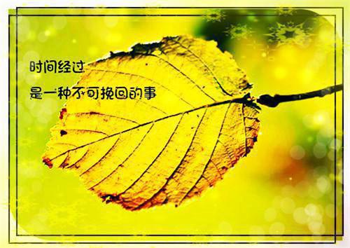 简洁的爱情句子