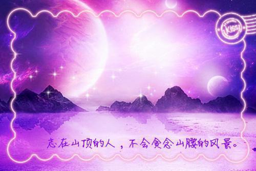 蓝色满天星花语含义鲜花礼仪
