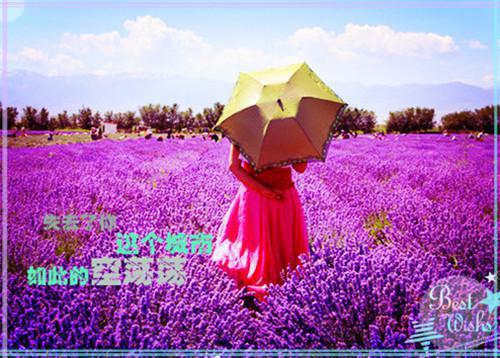 端午节日记范文200字（精选11篇）