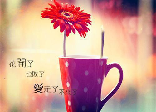 关于刻苦读书的语典成语典故