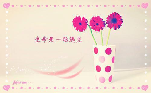 关于描写老师的优美散文500字