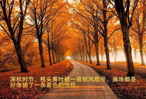 2020英文生日祝福语大全