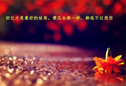 人生百态的谚语