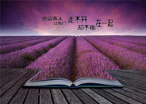 侃侃而谈的近义词