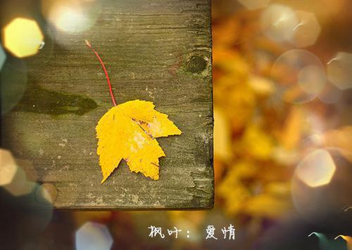 2021年秋季周末短信祝福语