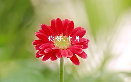 给大一新生的可爱简短寄语