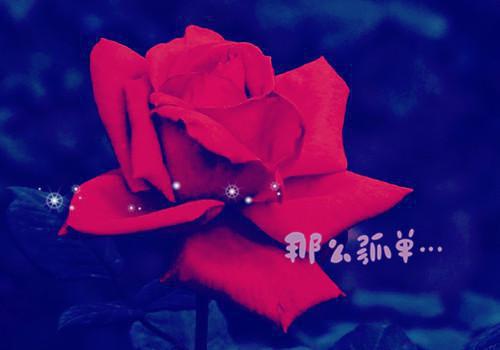 调侃单身狗的顺口溜超级搞笑