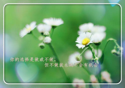 学生励志网络语录