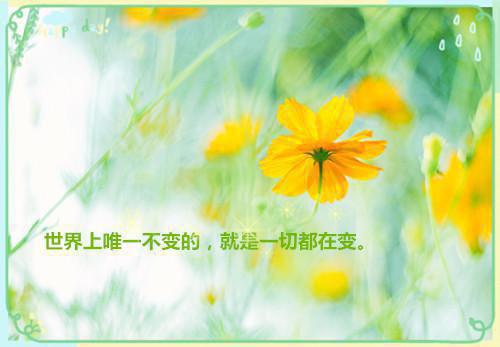 哄女友小故事