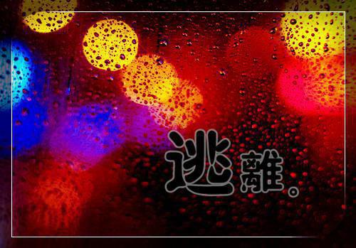 《警犬拉拉》读后感（精选24篇）