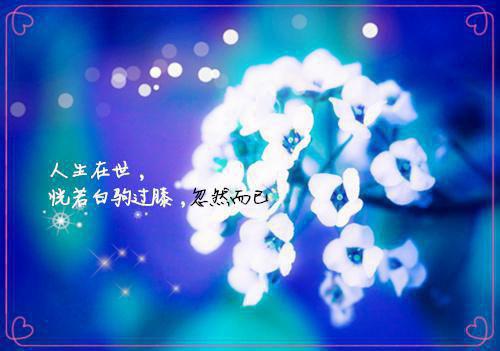 与白露相关的古诗白居易《新秋》