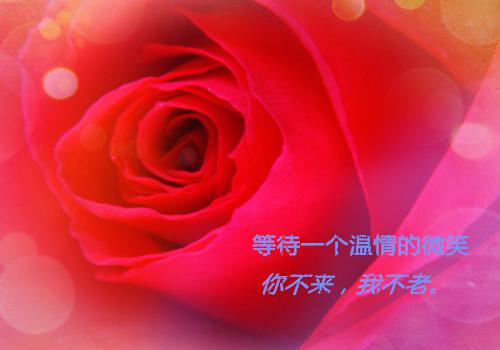 激励成功的格言