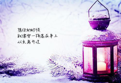 母爱的散文三篇