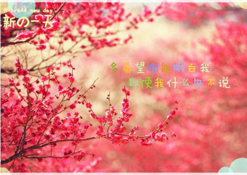 关于谦虚的格言
