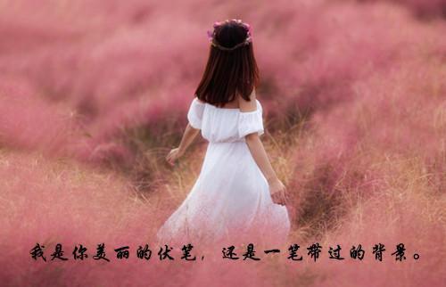 各国理谬论类谚语