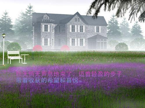周星驰电影搞笑名言语录