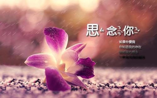 怀念我的爷爷