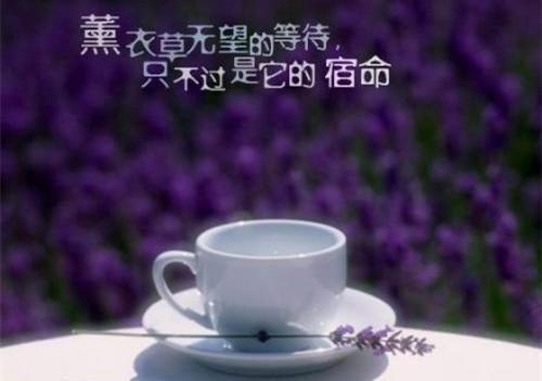 大学生暑假实习日记汇编七篇