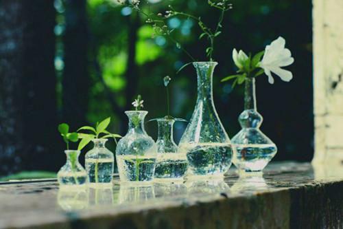 实用的师说说课稿模板集合十篇