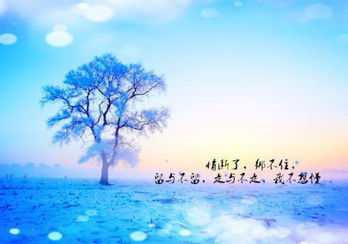 经典现代爱情散文诗欣赏