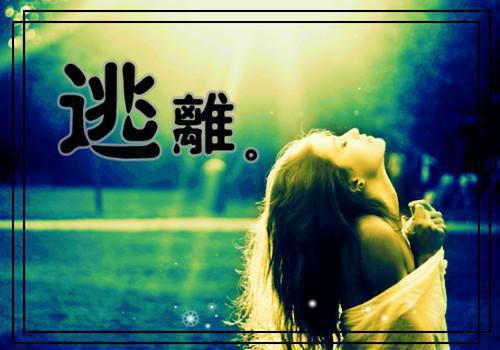 勃沙特的长征观后感