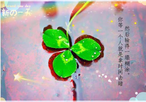打篮球的励志作文