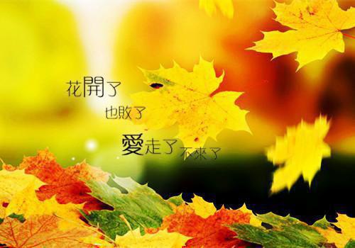 字数少成语故事