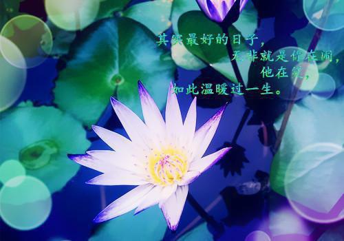 關于優秀發明的關于歷史故事