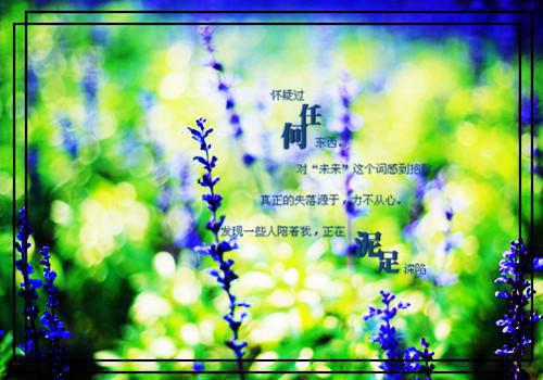 儿童睡前小故事集锦故事精选3个