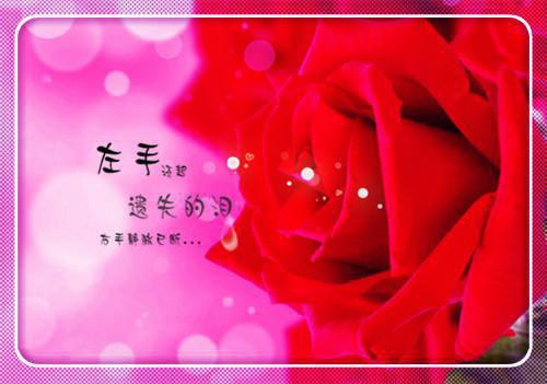 儿童睡前乌龟的故事