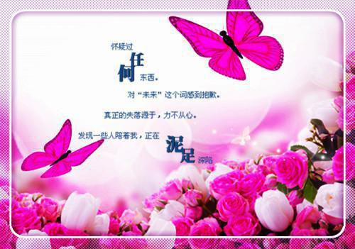 小學(xué)生成語故事教案文字素材