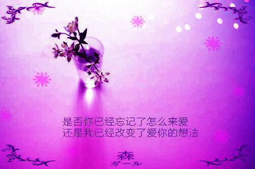 动物观察日记集合15篇