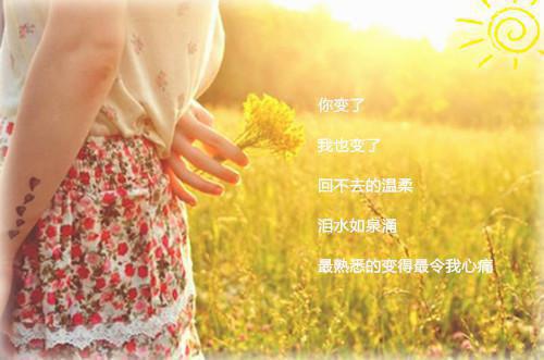 37歲兒童睡前故事冬天的前故松林