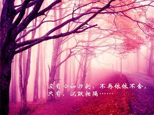 微博上的经典励志名言