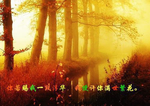 有关失望悲伤的句子