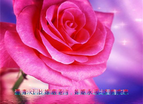 麦兜我和我妈妈台词
