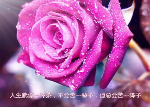 幽默搞笑周末祝福