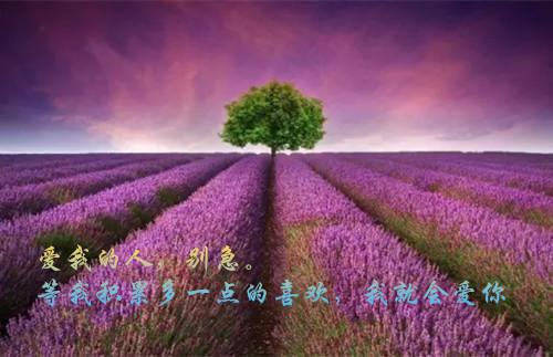 【精华】游后感作文400字3篇