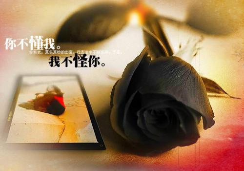 有关小学养蚕日记（精选8篇）