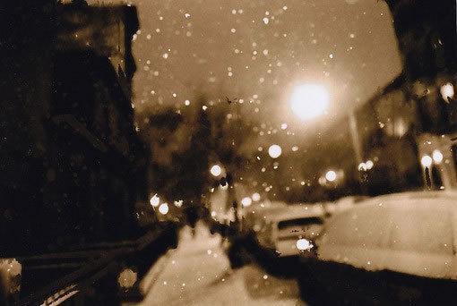 经典句子爱情语录精选