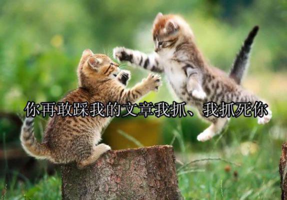 有哪些描写蝴蝶的古今诗歌