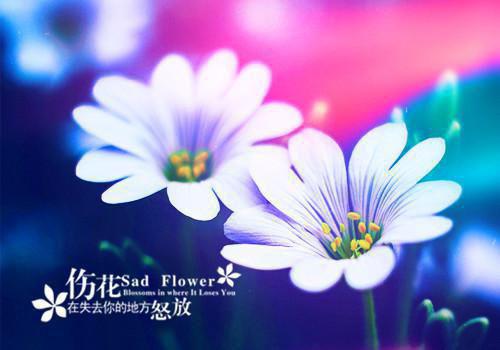 有关写父爱的抒情散文:父爱如山
