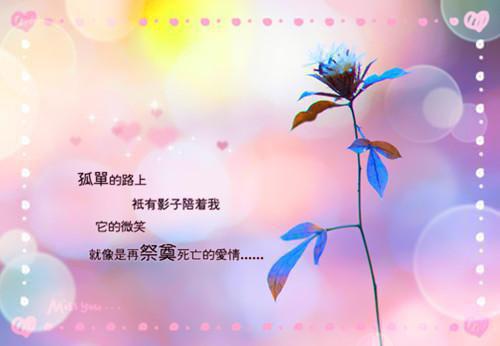 对女朋友说的暖心的话的照片