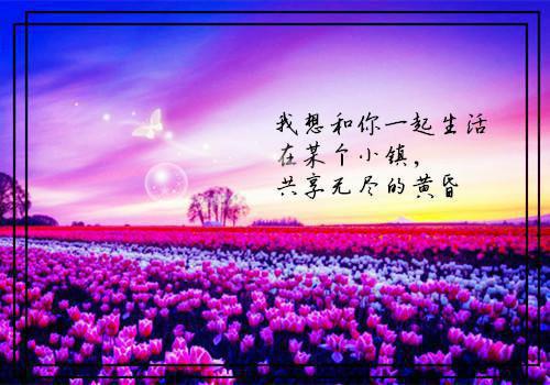 写雨的唯美诗句