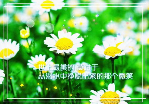 个性午安寄语40句