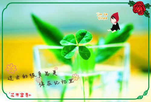 兒童睡前講故事兒童睡前故事文字